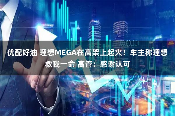 优配好油 理想MEGA在高架上起火！车主称理想救我一命 高管：感谢认可