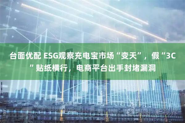 台面优配 ESG观察充电宝市场“变天”，假“3C”贴纸横行，电商平台出手封堵漏洞