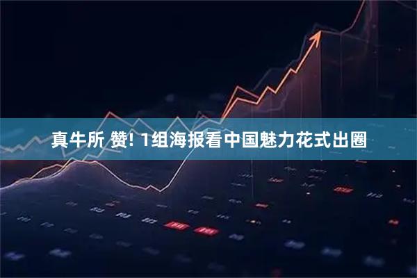 真牛所 赞! 1组海报看中国魅力花式出圈