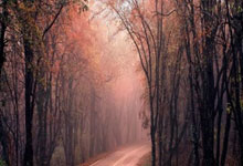 网上股票开户怎么开通:散户买什么股票好些-两部门发布划转充实社保基金国有股权及现金收益运作管理税收政策